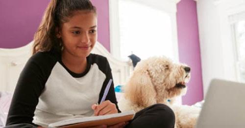一位在线学校的学生和她的宠物一起做作业，展示了孩子和宠物一起学习的好处.